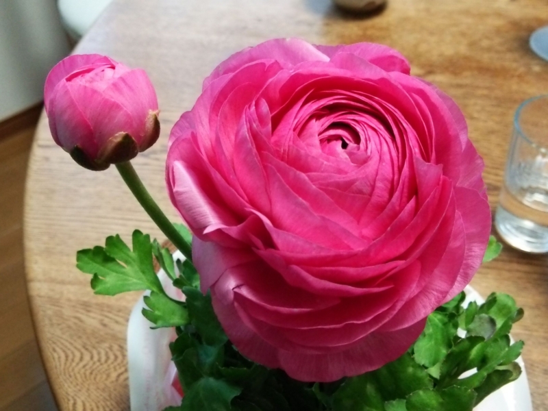 クリックすると大きくなります f:id:garadanikki:20150327105219j:plain