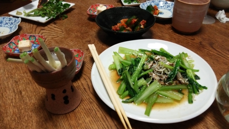 クリックすると大きくなります f:id:garadanikki:20150327105227j:plain