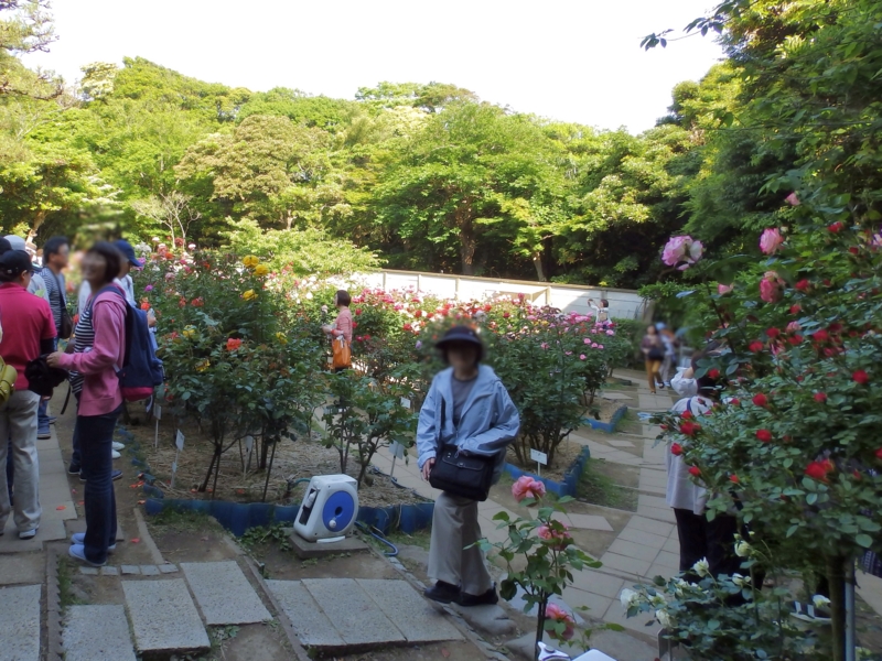 f:id:garadanikki:20150524102903j:plain