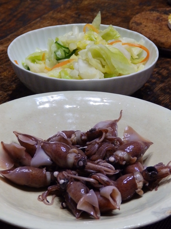 f:id:garadanikki:20160406143633j:plain