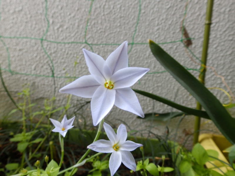 f:id:garadanikki:20160406155849j:plain