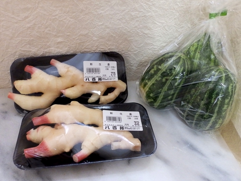 クリックすると大きくなります f:id:garadanikki:20160425105809j:plain