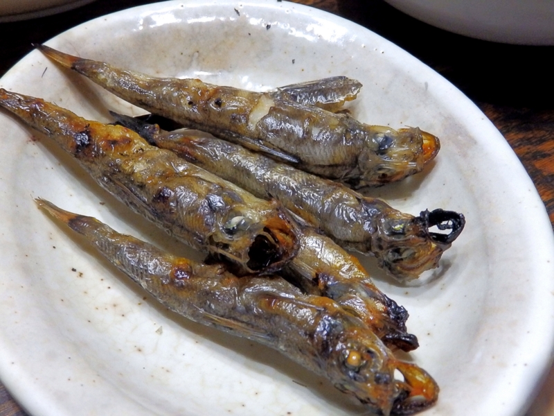 クリックすると大きくなります f:id:garadanikki:20160425121616j:plain