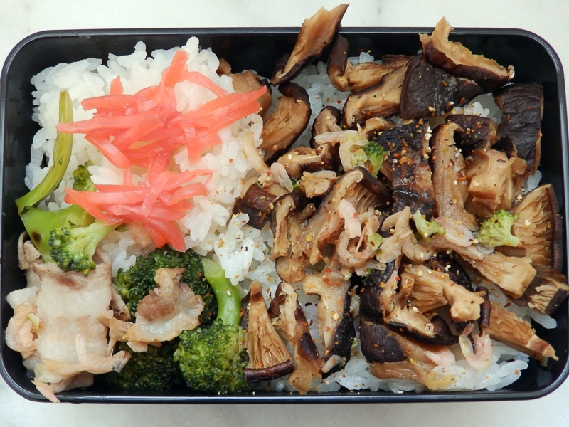 クリックすると大きくなります f:id:garadanikki:20160507122946j:plain