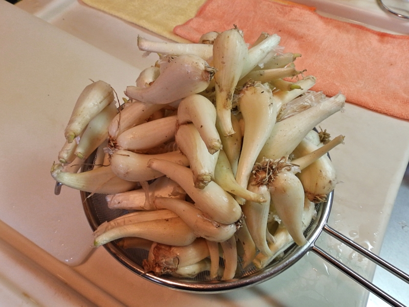 クリックすると大きくなります f:id:garadanikki:20160509093950j:plain