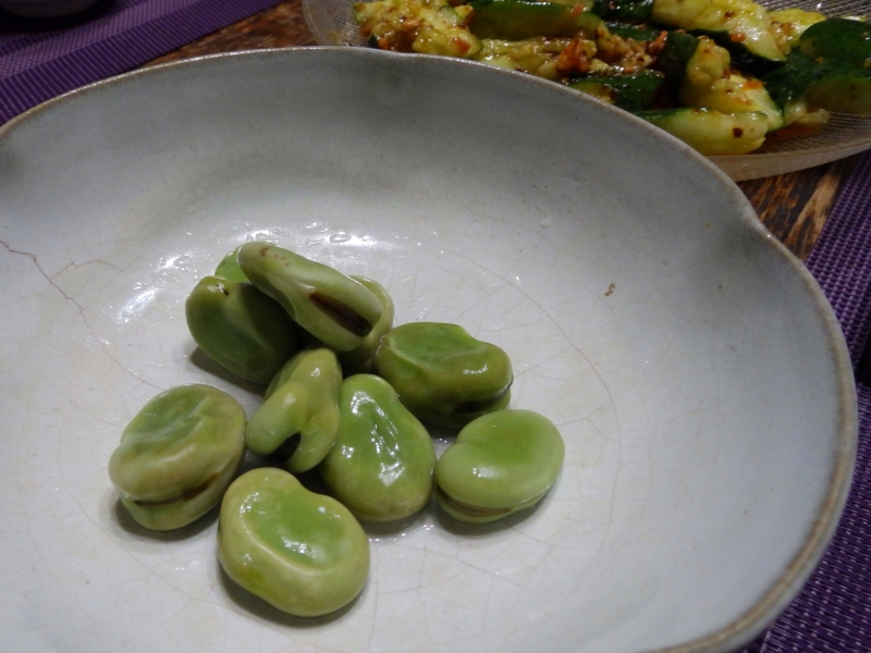 クリックすると大きくなります f:id:garadanikki:20160510101908j:plain