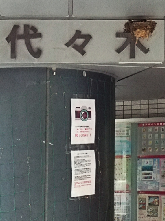 f:id:garadanikki:20160511111728j:plain