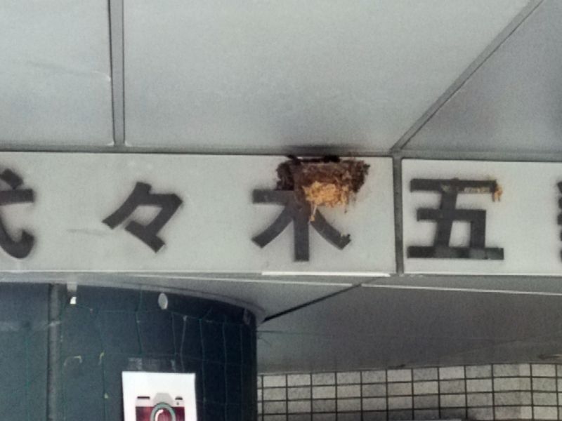 f:id:garadanikki:20160511111729j:plain