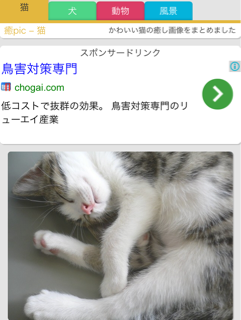 f:id:garagecarcat:20140409100448j:plain