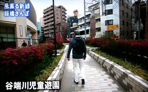 ちい散歩 板橋編