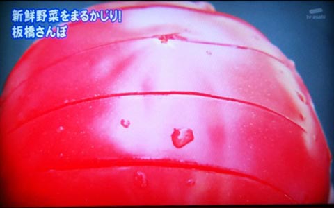 ちい散歩 板橋編