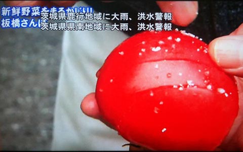 ちい散歩 板橋編