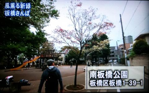 ちい散歩 板橋編