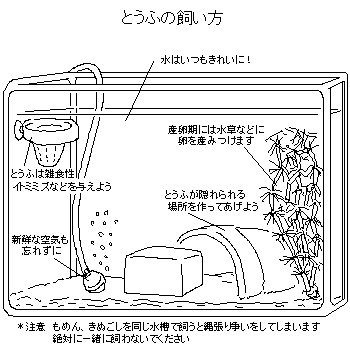 豆腐の飼い方