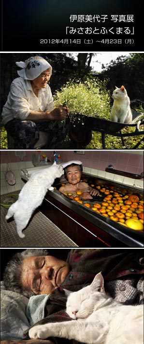 みさおとふくまる