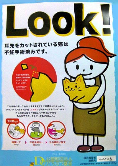地域猫活動