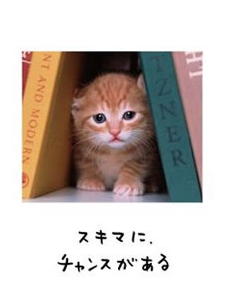 人生は「ワンチャンス!」だけど「ニャンとかなる!」