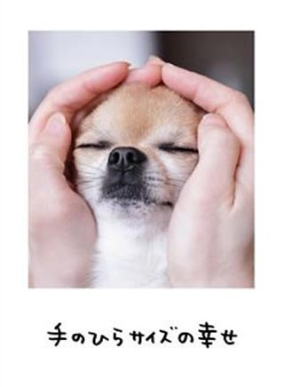 人生は「ワンチャンス!」だけど「ニャンとかなる!」