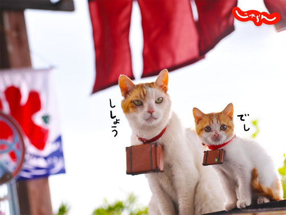 にゃらん 師匠と弟子の旅