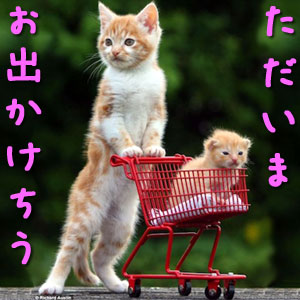 お出かけ猫