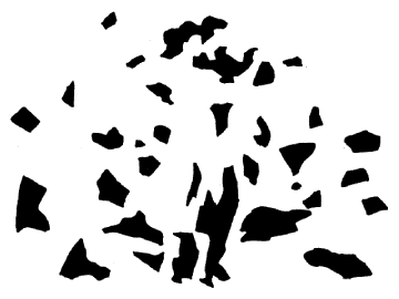 この画像を見てスグに何が描いてあるのか分かった人は芸術家