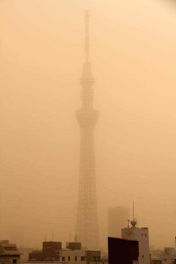 今日の東京砂漠