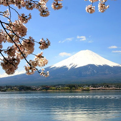 富士山