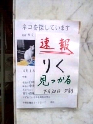 りく、見つかった