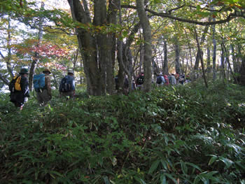 f:id:gari2:20141003210612j:plain f:id:gari2:20141003210612j:plain