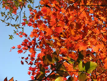 f:id:gari2:20141003210638j:plain f:id:gari2:20141003210638j:plain