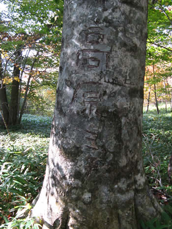 f:id:gari2:20141003210717j:plain f:id:gari2:20141003210717j:plain