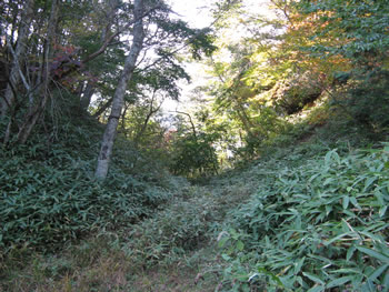 f:id:gari2:20141003211412j:plain f:id:gari2:20141003211412j:plain