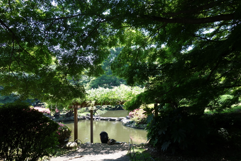 f:id:gas:20150526101533j:plain f:id:gas:20150526101533j:plain