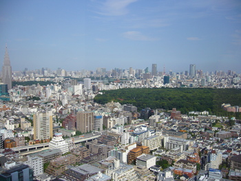 f:id:gatonews:20070623152715j:image:left