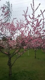 f:id:gblueblack27:20160506200519j:image f:id:gblueblack27:20160506200519j:image