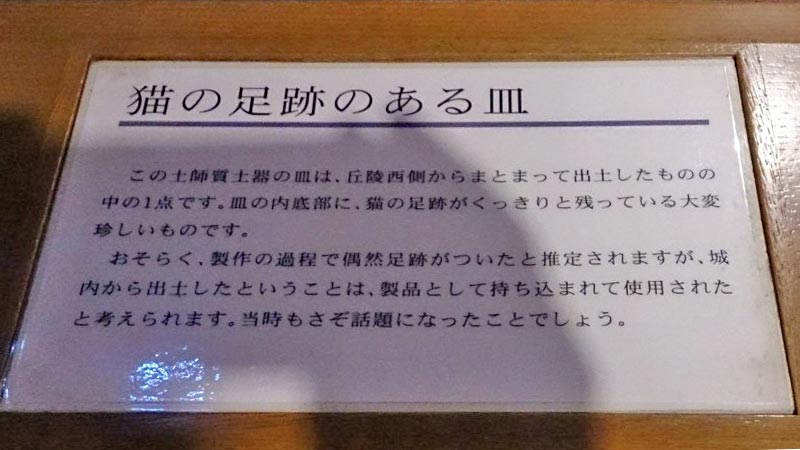 湯築城跡で出土した、ネコに踏まれてしまった土師器