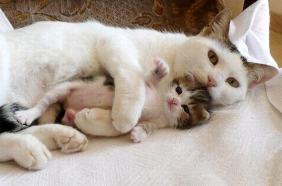 この子は私が守る。