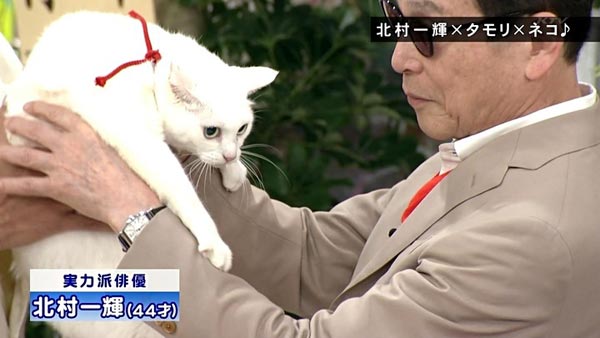 猫侍 玉乃丞と北村一輝がいいとも出演