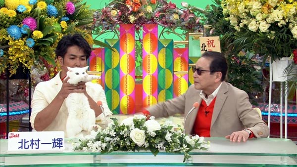 猫侍 玉乃丞と北村一輝がいいとも出演
