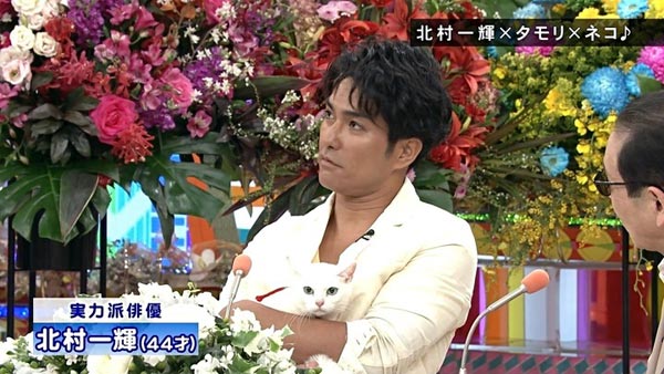 猫侍 玉乃丞と北村一輝がいいとも出演