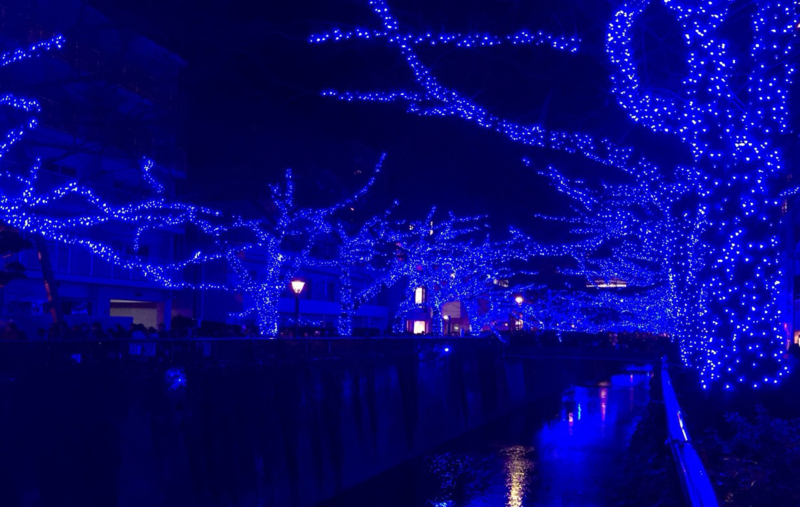 f:id:gdgdfairy:20141221172515j:plain f:id:gdgdfairy:20141221172515j:plain