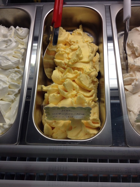 f:id:gelateria19:20140104111650j:plain f:id:gelateria19:20140104111650j:plain