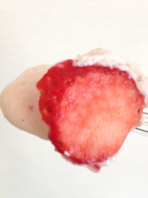 f:id:gelateria19:20140209121013j:plain f:id:gelateria19:20140209121013j:plain