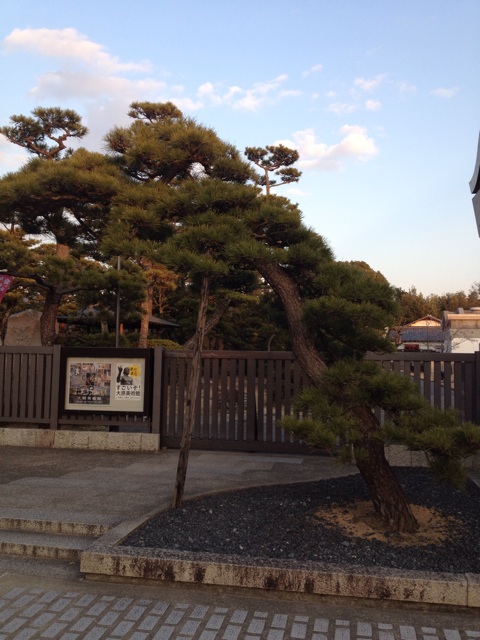 f:id:gelateria19:20140223172738j:plain f:id:gelateria19:20140223172738j:plain