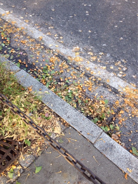 f:id:gelateria19:20141014171540j:plain f:id:gelateria19:20141014171540j:plain