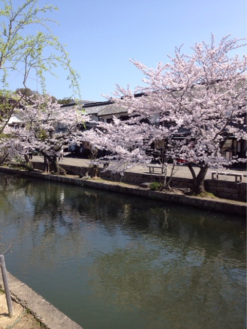 f:id:gelateria19:20150402113349j:plain f:id:gelateria19:20150402113349j:plain