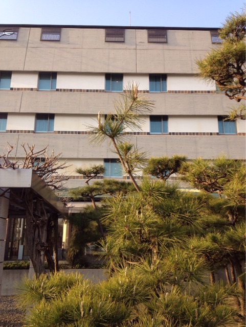 f:id:gelateria19:20150402113606j:plain f:id:gelateria19:20150402113606j:plain