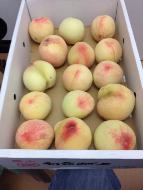 f:id:gelateria19:20150710180103j:image f:id:gelateria19:20150710180103j:image
