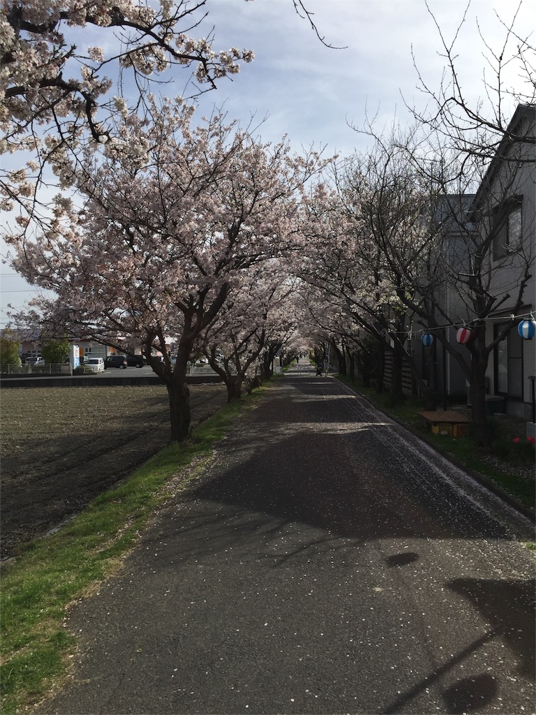 f:id:gelateria19:20160408221038j:image f:id:gelateria19:20160408221038j:image