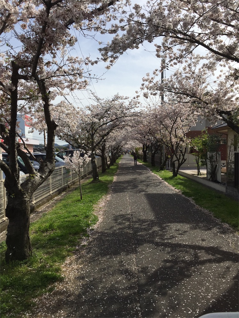 f:id:gelateria19:20160408221050j:image f:id:gelateria19:20160408221050j:image